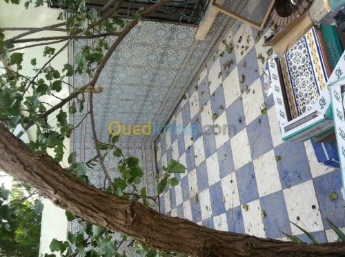 Vente Villa Ain temouchent Beni saf