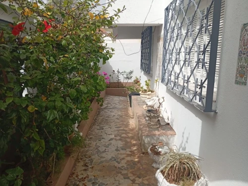 Vente Villa Alger Kouba