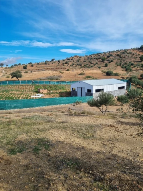 Vente Terrain Agricole Bouira Oued el berdi