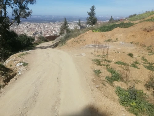 Vente Terrain Blida Blida