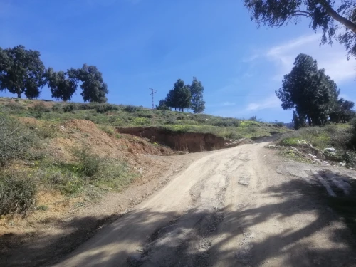 Vente Terrain Blida Blida