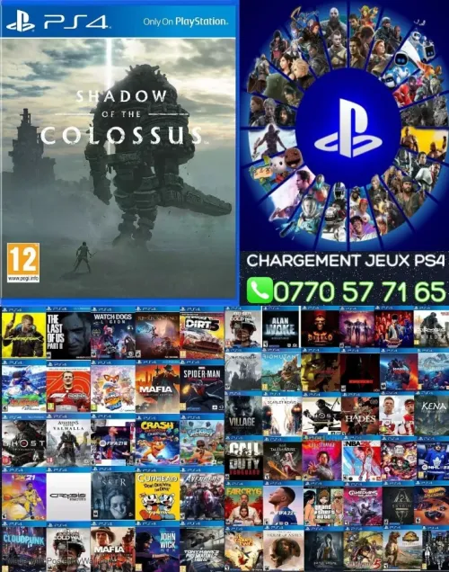 CHARGEMENT JEUX PS4 SUR VOTRE CONSOLE ( Assassin's Creed Valhalla ) Disponible Un Large Catalogue Disponible