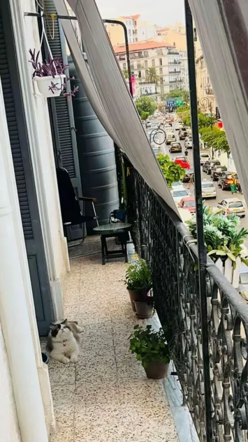 Vente Appartement F3 Alger Sidi mhamed