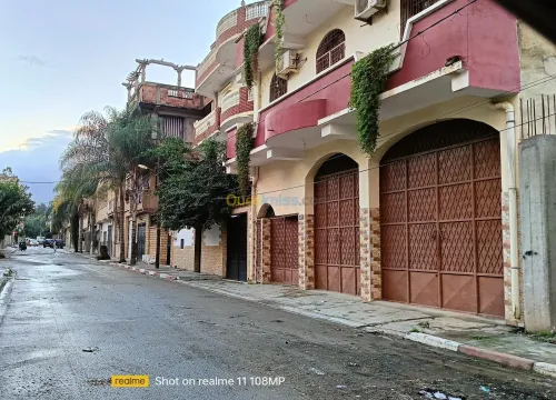Vente Terrain Blida Blida