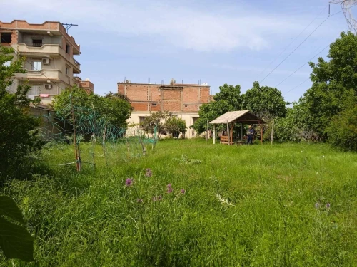 Vente Terrain Boumerdès Boudouaou