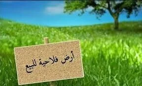 Vente Terrain Agricole M'Sila Sidi aissa