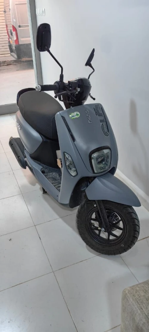 Cuki Vms 2025