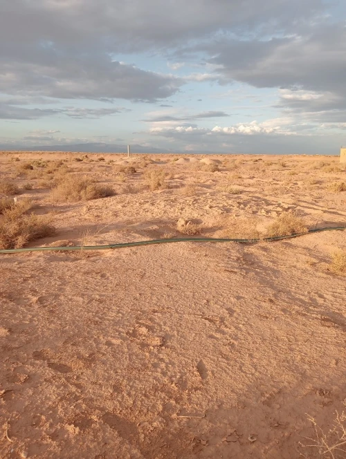 Vente Terrain Agricole Biskra Oumache
