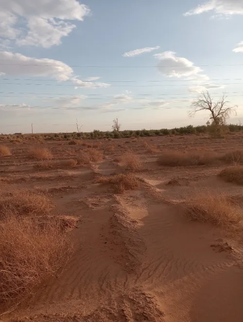 Vente Terrain Agricole Biskra Oumache