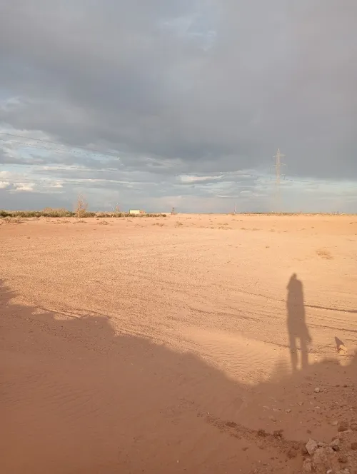 Vente Terrain Agricole Biskra Oumache