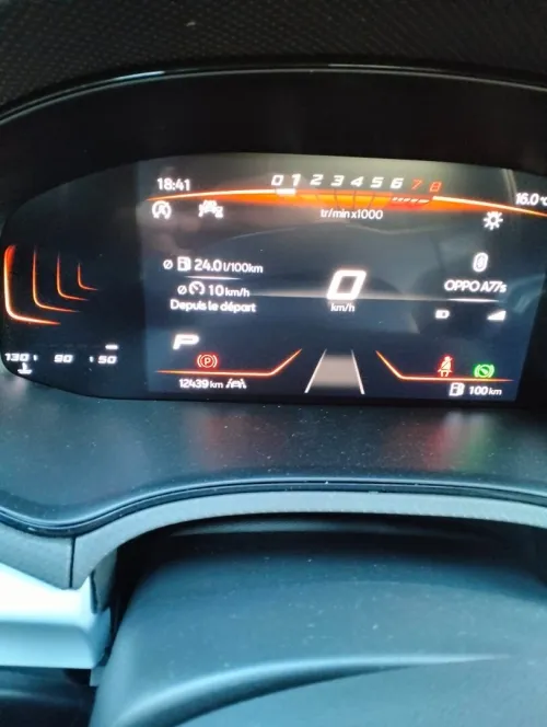 Seat Ibiza 2024 Style