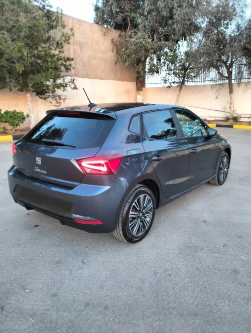 Seat Ibiza 2024 Style