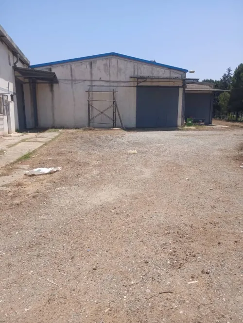 Location Hangar - Usine Alger Baba hassen