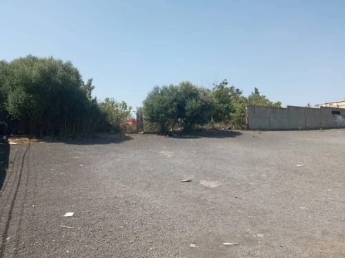 Vente Terrain Alger El achour