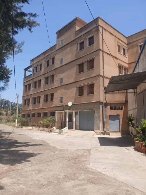 Location Hangar - Usine Alger Baba hassen
