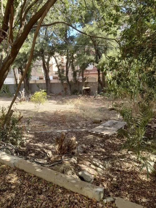 Vente Terrain Alger Bordj el bahri