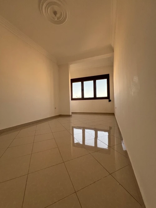 Location Immeuble Chlef Chlef