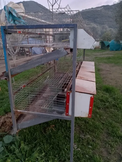 Cage pour lapin