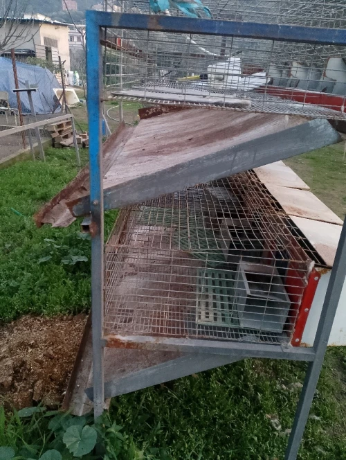 Cage pour lapin
