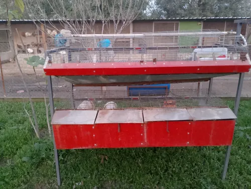 Cage pour lapin