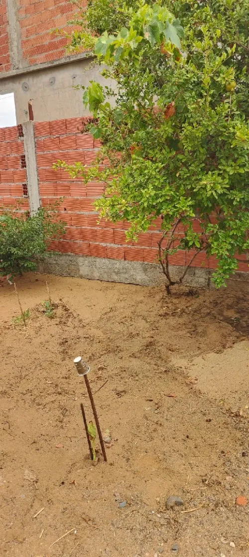Vente Terrain Jijel Sidi abdelaziz