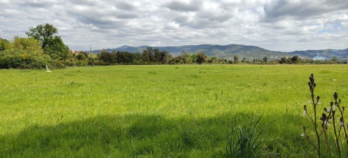 Vente Terrain Agricole Jijel El milia