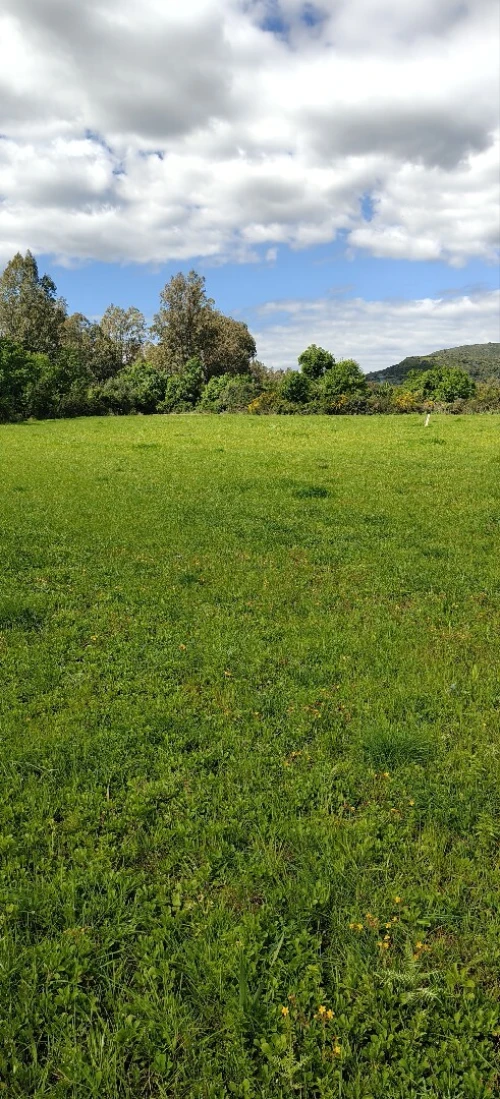 Vente Terrain Agricole Jijel El milia