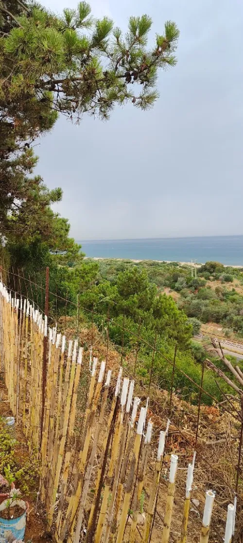 Vente Terrain Jijel Sidi abdelaziz
