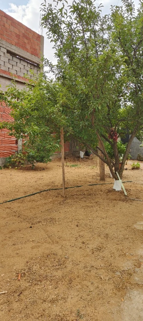 Vente Terrain Jijel Sidi abdelaziz