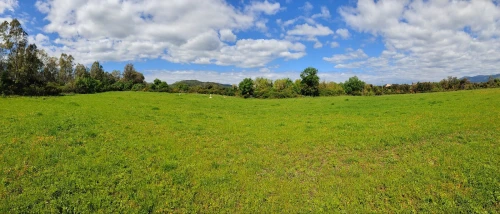Vente Terrain Agricole Jijel El milia