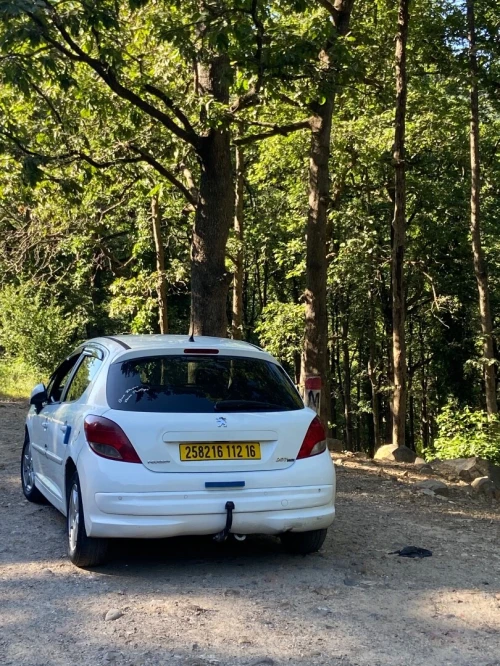 Peugeot 207 2012 Allure