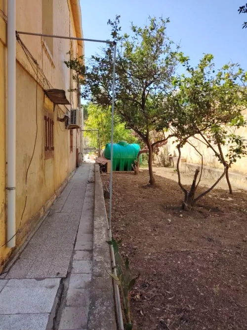 Vente Terrain Tipaza Cherchell