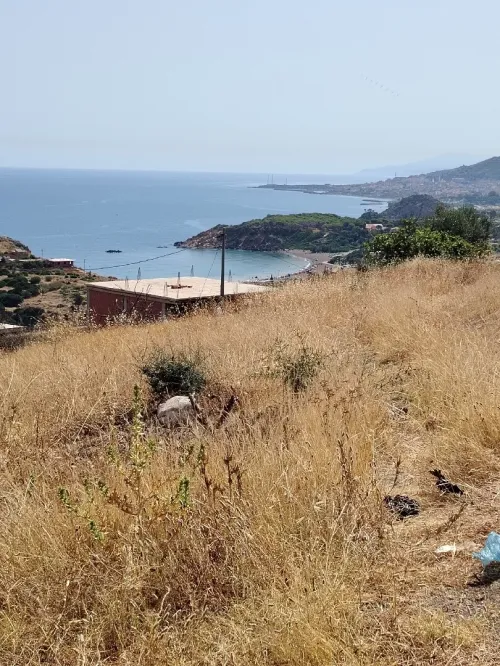 Vente Terrain Tipaza Larhat 2