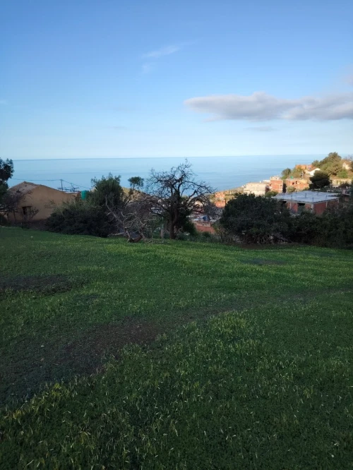 Vente Terrain Tipaza Gouraya