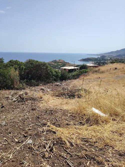Vente Terrain Tipaza Larhat