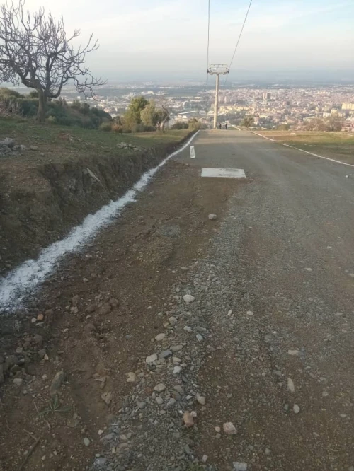 Vente Terrain Blida Blida