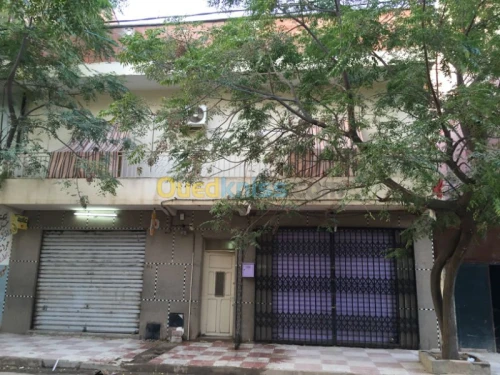 Vente Villa Ain defla Khemis miliana