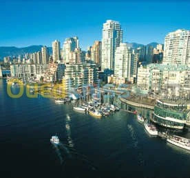 Formations professionnelle 