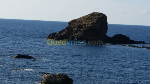 Location Bungalow Tipaza Cherchell