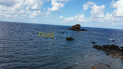 Location Bungalow Tipaza Cherchell