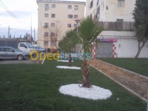 Aminagement espace vert 