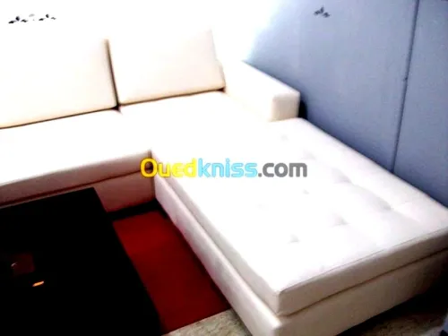 تصليح و إعادت تغليف  الصالونات