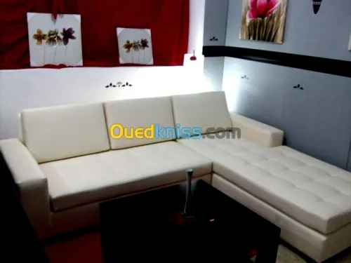 تصليح و إعادت تغليف  الصالونات