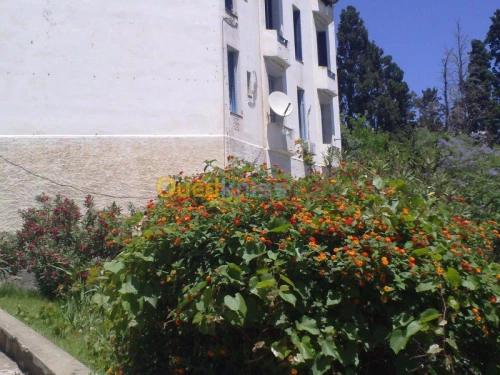 Loue grand mur pour espace publicitair