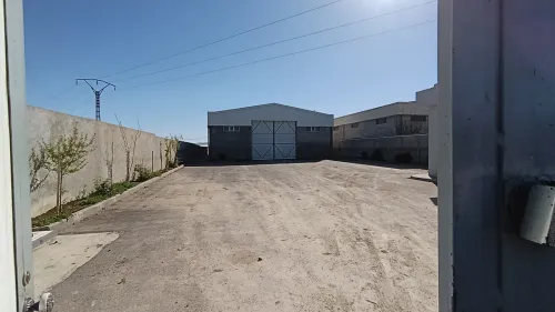 Location Hangar - Usine Sétif Ouled sabor