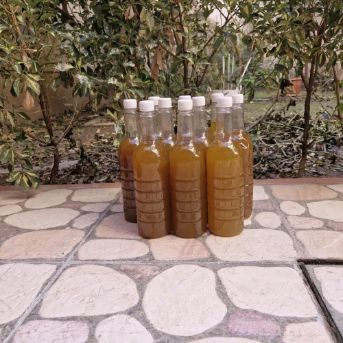 Huile d'olive Arbequina