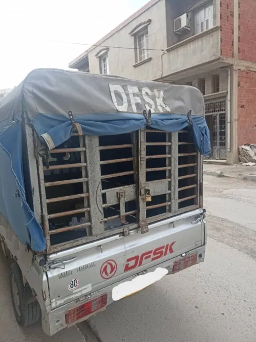 MINI TRUCK DFSK