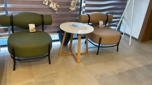 SALON DE RÉCEPTION- CHAUFFEUSE
