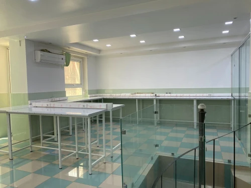 Location bien immobilier Chlef Chlef