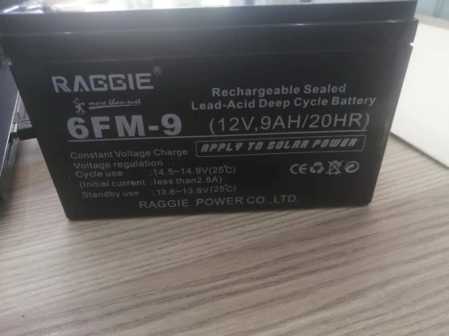 BATTERIE 12V9A "RAGGIE"